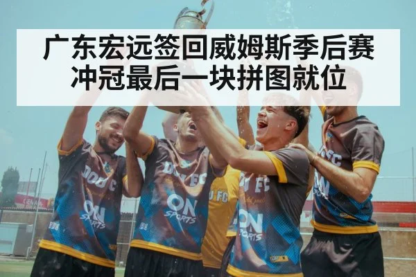广东宏远签回威姆斯季后赛冲冠最后一块拼图就位